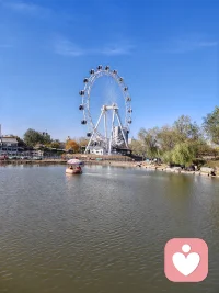 身體的污濁好清潔，但人心的污濁呢？有時(shí)候覺(jué)得自己想讓世界更美好的愿望，像是蚍蜉撼大樹(shù)！配圖