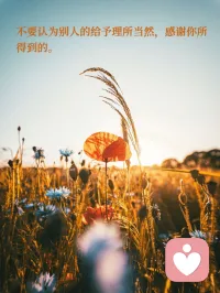 ??  早安，我親愛的伙伴！新的一天開始啦！
       人的磁場很重要，多和善良的人同行，多和勤奮的人攜手，多和真誠的人同路，你就會越來越好，越來越幸運！生活不會辜負每一個努力的人，從清晨開始，定義你的優秀。
       無論昨天經歷了什么，今天都是全新的起點。愿你懷揣夢想，勇敢前行，每一步都走得堅定而精彩！配圖