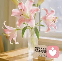 生活沒(méi)有標(biāo)準(zhǔn)答案，過(guò)得開(kāi)心就是滿分。幸福不在別人眼里，而在自己心里，保持好心情，過(guò)好每一天。早安，愿你擁有美好的一天！”配圖