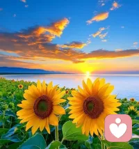 早安?
作為咨詢師的小確幸：
一半是和靈魂共舞的熱烈，一半是與自己獨處的溫柔
聽太多震撼或感動的故事，反倒更珍惜和自己對話的時刻——在安靜里覺察、調整，慢慢活得灑脫又從容。原來最好的狀態是：既能認真接住每份信任，做兩個生命共舞的見證者；也能好好擁抱自己，在獨處里偷藏滿格的能量?
喜歡這份工作，也愛慘了這份獨處時光～
周末愉快???配圖