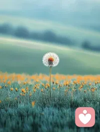 親密關系一般會經歷四個時期：

1、浪漫期：理想化對方，彼此只看到優點，忽略缺點；

2、爭奪期：無法忍受對方的缺點，互相爭奪改造對方的權力，以符合內心期望的形象；

3、整合期：能接納對方的不足，不再企圖改變對方；

4、共創期：相互欣賞、默契十足。

很多親密關系在經歷爭奪期時就破裂了，或一直處在爭奪期。也有些能達到整合期，但很少能走到共創期，因為這需要彼此擁有完善的人格。

你現在處在哪個時期，歡迎留言來聊聊。
老師為你解惑答疑！配圖