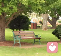 早安，一篇即時(shí)散文送給大家。
                                   《晨光里的周末詩(shī)行》
周末的晨光，總是帶著一種慵懶的溫柔，輕輕推開(kāi)夜的帷幕。當(dāng)?shù)谝豢|陽(yáng)光透過(guò)窗簾的縫隙，灑在床沿，世界便開(kāi)始以另一種節(jié)奏蘇醒。

我緩緩起身，推開(kāi)窗戶，讓清晨的空氣涌入房間。那是一種混合著露水、泥土和遠(yuǎn)處早餐香氣的獨(dú)特芬芳，瞬間驅(qū)散了睡意。窗外，鳥(niǎo)兒在枝頭歡唱，它們的歌聲清脆而悠揚(yáng)，仿佛在慶祝這難得的閑暇時(shí)光。

廚房里，我親手煮一壺咖啡，看著蒸汽裊裊升起，聞著那濃郁的香氣，心中涌起一股暖意。早餐是簡(jiǎn)單的面包和水果，但在這寧?kù)o的早晨，每一口都顯得格外美味。

早餐后，我漫步到附近的公園。晨練的人們或慢跑或打太極，他們的身影在晨光中顯得格外生動(dòng)。我找一處長(zhǎng)椅坐下，望著天空中的云朵慢慢飄過(guò)，感受著周末的時(shí)光在慢慢流淌。

這個(gè)周末的早晨，沒(méi)有喧囂，沒(méi)有匆忙，只有我與這美好時(shí)光在靜靜對(duì)話。