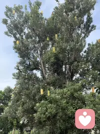 “浪漫和悲观并不冲突，我时常消极又觉得生活美好！”
生活，偶尔致郁，偶尔治愈，更多的是自愈⋯⋯
—写给自己配图
