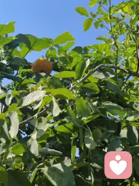 缺爱的人本质是，缺少了一面温暖的镜子，以至于你很难从镜子中意识到，我其实是有力量的，我其实是有价值的，我是值得被爱的，我不是无