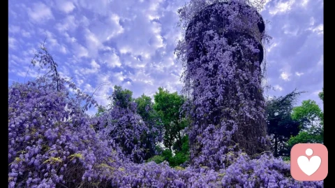 我想生一个孩子，我想有一个家