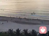 離開緊繃的土壤，你的溫柔自會生長配圖