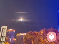 祝你的千山繁盛，是千千万万次的枯木逢春