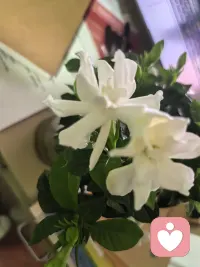 灵魂共鸣寥寥无几，相遇已是上上签，不必苛责自己。配图