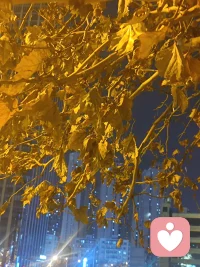 爱者见魂 ，利者见秤。万相非相，自在皆真配图
