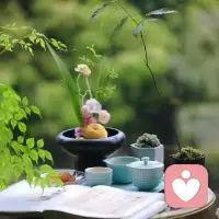 落葉飛，林鳥歸，祝你心情美；日行空，月行夢，咱倆交情濃；立冬到，曬暖陽，情誼不變黃；初立冬，需保養(yǎng)，煲煲老鴨湯；祝福到，祝快樂，愿君冬安康。寒風(fēng)搖葉落，立冬餃子香。愿我的祝福像餃子餡一樣，滿滿當(dāng)當(dāng)，給你一整個冬天的溫暖。????配圖