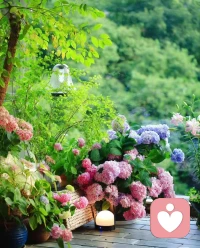 友誼和愛(ài)情之間的區(qū)別在于：友誼意味著兩個(gè)人和世界，然而愛(ài)情意味著兩個(gè)人就是世界……阿偉配圖