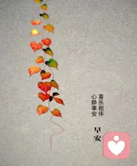 了凡四训：一、立命之学；二、改过之法；三、积善之方；四、谦德之效。