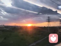 我存在的作用就是充当树洞配图