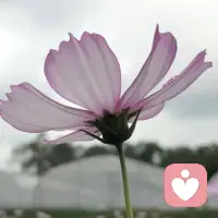 精神富养的孩子
 
精神富养不是娇惯、不是物质堆砌，核心是给孩子内心建立稳定、强大、自洽的内核，让他敢独立、能自愈、懂自爱、会爱人。