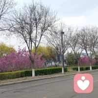喜欢漫无目的的开车～给自己放松一下！
随心随性！
春天的颜色，美的入眼入心！
回家发现楼下的风景也很美！
只是离得近反而忽略了变化！
一站有一站的风景，只要用心欣赏
一朵花，一片叶子，都很美！配图