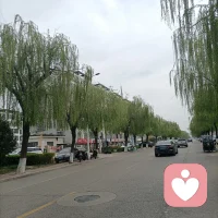 喜欢漫无目的的开车～给自己放松一下！
随心随性！
春天的颜色，美的入眼入心！
回家发现楼下的风景也很美！
只是离得近反而忽略了变化！
一站有一站的风景，只要用心欣赏
一朵花，一片叶子，都很美！配图