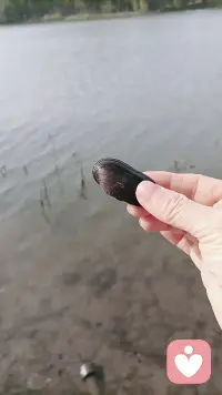 心存美好，一切皆是美好！配图