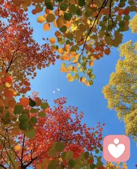 每一個(gè)人來(lái)自于不同的家庭，所吃過(guò)的飯，走過(guò)的路，經(jīng)歷的事情不同，造就不同的認(rèn)知。
每一個(gè)人都形成了一套固有的觀念，各自認(rèn)為自己的思想是正確的。有時(shí)你也會(huì)發(fā)現(xiàn)，你很難去改變一個(gè)人，那是他的觀念已經(jīng)根深蒂固了。