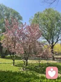 人越快乐，运气越好，你是美好的，吸引来的人和事，也都会是美好的。