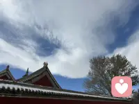 不必逼自己事事完美，接纳“尽力就好”的松弛感，允许过程有瑕疵，反而能减少内耗，让脚步更稳地往前走。