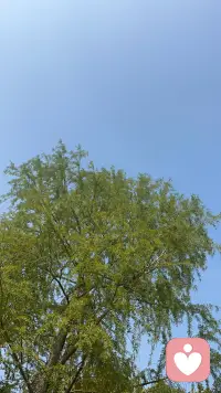 如果足夠勇敢，應該繼續扛起問題往前走。直到因果成熟自動脫落。人對問題的解決方式，不是試圖找到答案，而是背負到可以解決的那一天。配圖