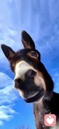 个人成长从来不是“变完美”，而是“接纳不完美”。心理学里的“自我关怀”，就是允许自己偶尔脆弱：老公没及时回消息，别先脑补出一部出轨大戏，也许他只是在开会；老婆偶尔没收拾家务，别指责“你怎么这么懒”，想想她是不是最近太累了。对自己宽容一点，对身边人也温柔一点——你不必做满分伴侣，先做一个快乐的自己，好的关系，自然会跟着来。