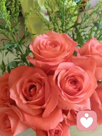 清理情绪垃圾，盘活心理能量！你好，我是清吟