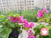 一、这世上，总有人爱你，也总有人恨你；总有人帮你，也总有人踩你。看淡、想开就好。活着，做不到尽善尽美，就做个真我；无法面面俱到，就随遇而安。

二、对生命而言，接纳才是最好的温柔，不论是接纳一个人的出现，还是接纳一个人的从此不见。——秋微《莫失莫忘》

三、时过境迁，一晃好几年，再回头去看看那些荒唐岁月，竟要感谢当初那份不得已的选择，因为开始懂得，原来“没有办法在一起的人”，其实就是“错的人”