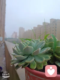 一、这世上，总有人爱你，也总有人恨你；总有人帮你，也总有人踩你。看淡、想开就好。活着，做不到尽善尽美，就做个真我；无法面面俱到，就随遇而安。

二、对生命而言，接纳才是最好的温柔，不论是接纳一个人的出现，还是接纳一个人的从此不见。——秋微《莫失莫忘》

三、时过境迁，一晃好几年，再回头去看看那些荒唐岁月，竟要感谢当初那份不得已的选择，因为开始懂得，原来“没有办法在一起的人”，其实就是“错的人”