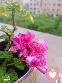 一、这世上，总有人爱你，也总有人恨你；总有人帮你，也总有人踩你。看淡、想开就好。活着，做不到尽善尽美，就做个真我；无法面面俱到，就随遇而安。

二、对生命而言，接纳才是最好的温柔，不论是接纳一个人的出现，还是接纳一个人的从此不见。——秋微《莫失莫忘》

三、时过境迁，一晃好几年，再回头去看看那些荒唐岁月，竟要感谢当初那份不得已的选择，因为开始懂得，原来“没有办法在一起的人”，其实就是“错的人”