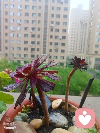 一、这世上，总有人爱你，也总有人恨你；总有人帮你，也总有人踩你。看淡、想开就好。活着，做不到尽善尽美，就做个真我；无法面面俱到，就随遇而安。

二、对生命而言，接纳才是最好的温柔，不论是接纳一个人的出现，还是接纳一个人的从此不见。——秋微《莫失莫忘》

三、时过境迁，一晃好几年，再回头去看看那些荒唐岁月，竟要感谢当初那份不得已的选择，因为开始懂得，原来“没有办法在一起的人”，其实就是“错的人”
