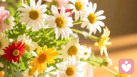 森田智慧启示：婚后恩爱是治愈生活的“心灵良药”