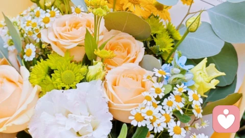 森田之悟：婚姻里脊梁与绽放的共生之美