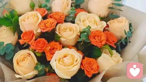 森田视角：疼爱与温柔，婚姻的共生密码