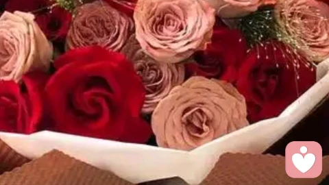 森田之悟：莫让冷漠荒芜婚姻，共赴夕阳方有暖途