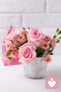 压力过载时，心理咨询师是减压良方
现代生活压力如泰山压顶，当你被工作、生活的压力压得喘不过气，甚至产生逃避心理时，心理咨询师就是那剂减压良方。按照森田疗法“为所当为”，他们会帮你分析压力来源，制定应对策略。让你在面对压力时，能保持积极心态，将压力转化为前进的动力，轻松应对生活挑战。