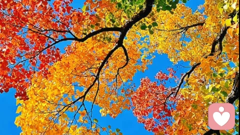 打破沉默:父母如何帮青少年建立健康性观念