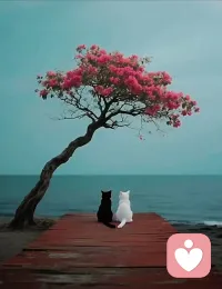 有时候一定要有阿Q精神，不然思维会进入死胡同。配图