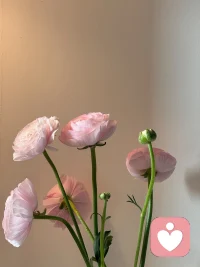 如果，你肯诚实的面对自己的心，你就能与自己拥抱～