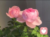 为啥一定要非黑即白呢，世事一直都在运转变化的～配图
