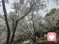 我们不能保证自己做出的选择百分之百正确。但至少能不为之后悔！配图