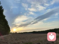 你独享的孤独，或许就是命运的安排！配图