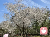 你可以去体会自己真正的感受，做让自己舒服的事情！