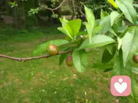 事来则应，事去则静！