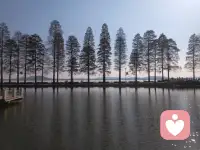 你以为错过的遗憾，也许是躲过一劫！