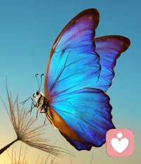 苦难是人生的常态，伴随着我们的生命历程。它是中性的，既有可能成为成长的阶梯，也可能变成心灵的枷锁。真正的成长不在于苦难本身，而在于我们如何面对它：是选择逃避、沉溺，还是勇敢地接纳、反思并从中学习。后者，才能将苦难转化为滋养心灵的养分，最终超越苦难和实现自我蜕变。配图