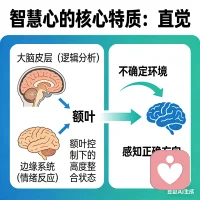 智慧心的核心特质：直觉
这种直觉并非神秘主义，而是大脑皮层（逻辑分析）与边缘系统（情绪反应）在额叶控制下的一种高度整合状态。它允许我们在不确定的环境中，依然能感知到正确的方向。它是每个人内心深处本自具足的智慧源泉。