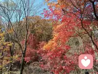 脾气急躁的自我修复二

2、再清理 当你内心的“毒素”被清理得差不多了，你就能心平气和的多了，才能生活，工作，赚钱，你的亲密关系才有可能和谐。否则内在的“毒素”会一点一点的侵蚀你。 3、常觉察 我们内心的创伤，也要一点一点的疗愈，体内的“毒素”需要一点点的慢慢清理。而这些创伤和“毒素”需要常去觉察才能找到，每天觉察自己的情绪和感受就是在疗愈自己，觉察会让内心被理解和滋养，就是在关爱自己。 在平时要如何控制自己的情绪 1、自我提醒(要发脾气之前默念10秒) 2、转移注意力(玩游戏、找人聊天等) 3、自己和自己辩论(寻找偏激点在哪) 4、自我暗示(我在生气什么?) 5、懂得表达(心平气和沟通自己的想法) 6、降低期待(不在他人身上抱太多希望) 8、不过度发火(降低说话的音量和语气) 9、不要积攒情绪(把每一次小问题解决)