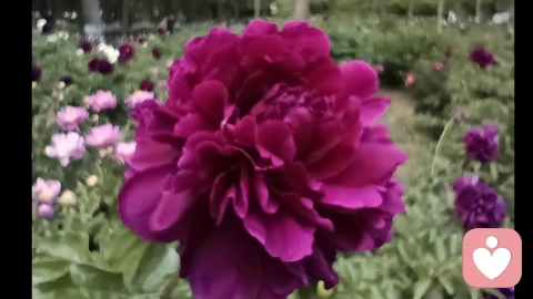 原生家庭受过伤害的九个迹象