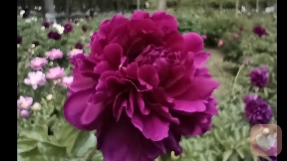 原生家庭受过伤害的九个迹象